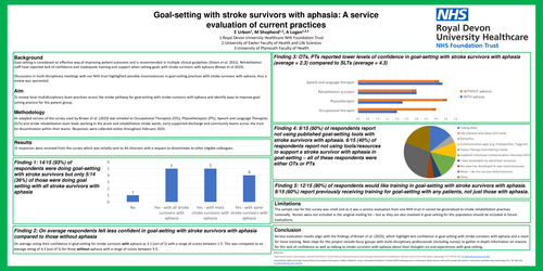 Goal-setting with stroke survivors with aphasia: A service evaluation of current practices